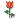 Piccola%20Rosa.gif